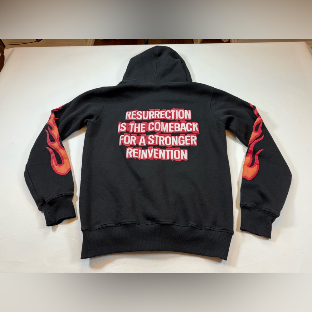 Shattered Phoenix hoodie medium zip up sleeved flames goth cyberpunk (bin KK2) - Picture 2 of 7